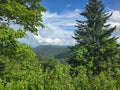 Nature Views